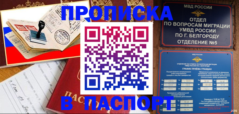 купить прописку в Каргате